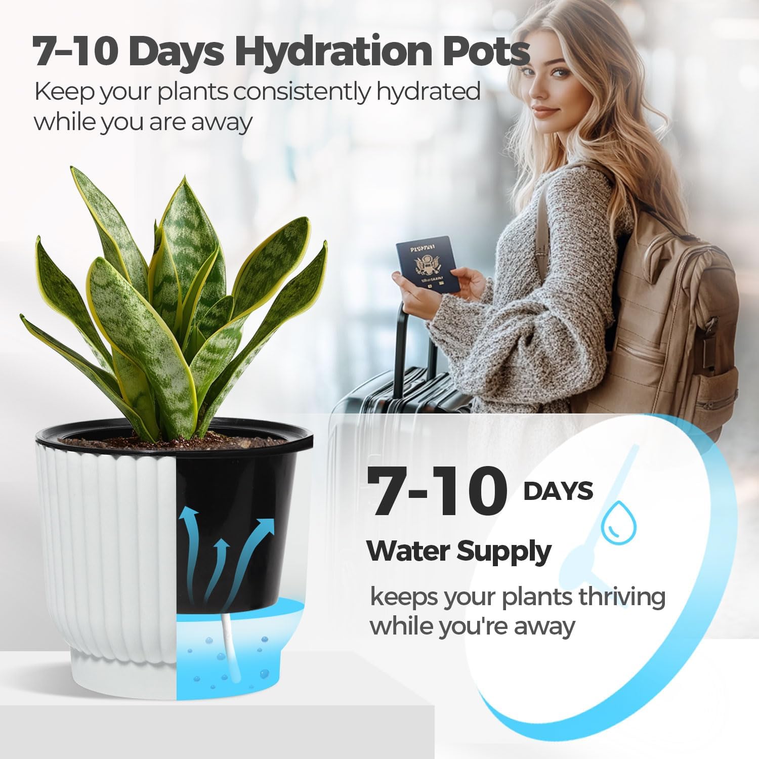 T4U 6 Inch Self Watering Pots for Indoor Plants, 6 Pack Plant Pots, Self Watering Planter for Indoor Plants, Durable Plastic Pots, Flower, Succulents (6 Pack, 6", White) - Image 4