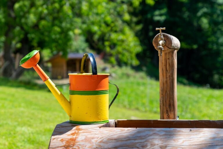 Transform Your Outdoor Space with Unique Garden Accessories