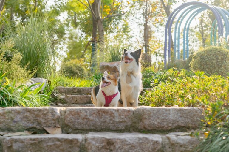 The Best Decorative Items to Elevate Your Garden Style