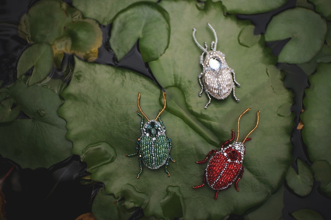 How to Choose the Right Accessories for Your Garden How to Choose the Right Accessories for Your Garden
