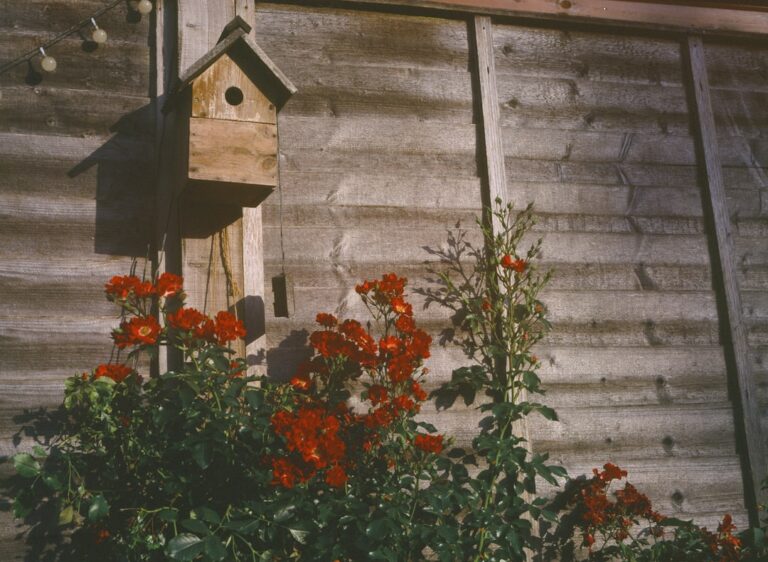 Top Trends in Garden Decor You Need to Know About