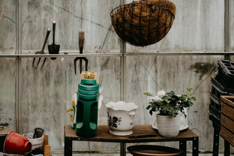 Inspiring Ideas for Accessorizing Your Garden Space